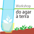 Workshop em cultura de plantas in vitro do agar à terra