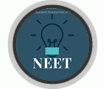 Formação para NEET
