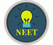 Formação para NEET