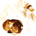 XII Fórum Internacional da Castanha